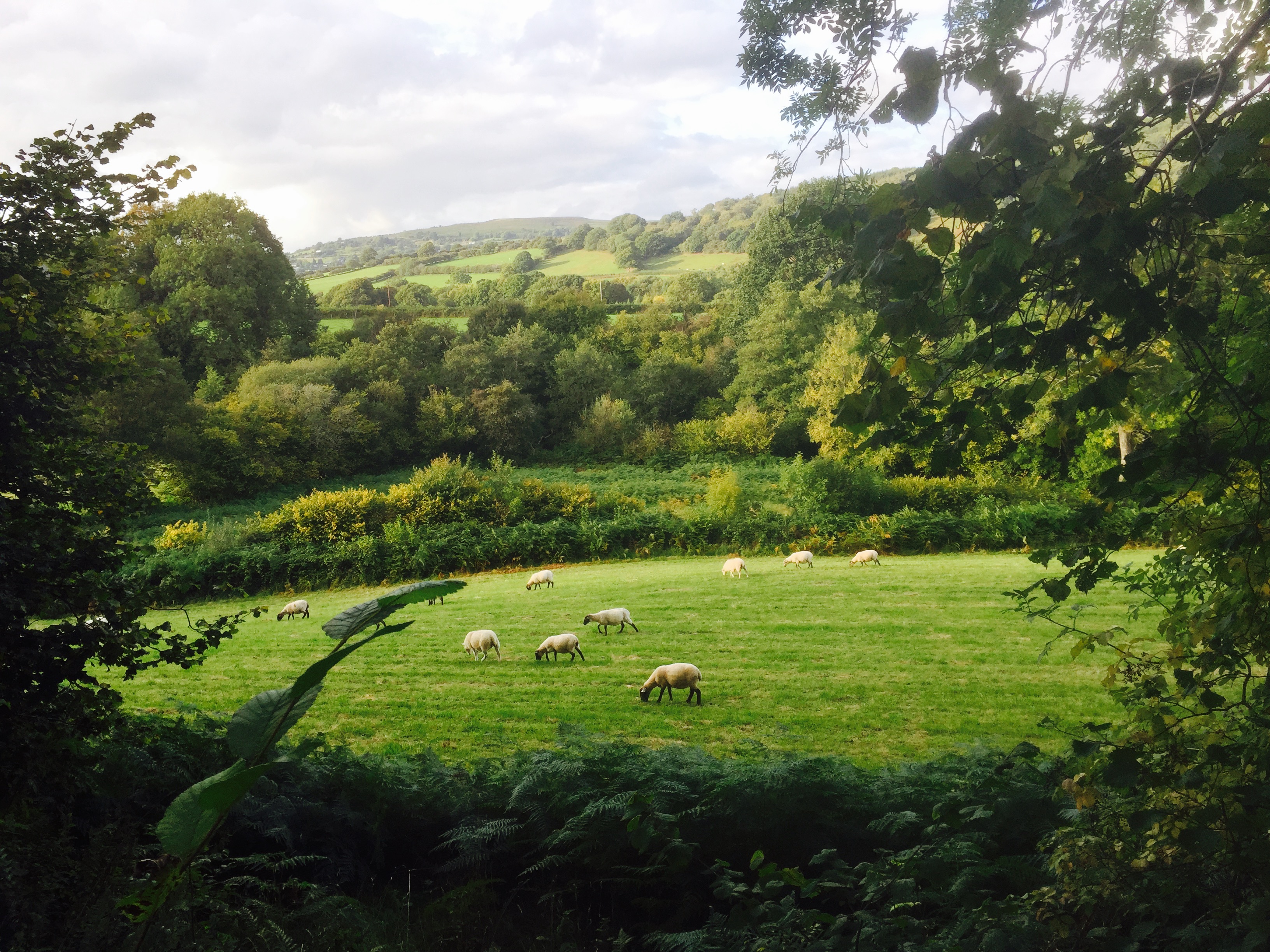 UK – Pays de Galles