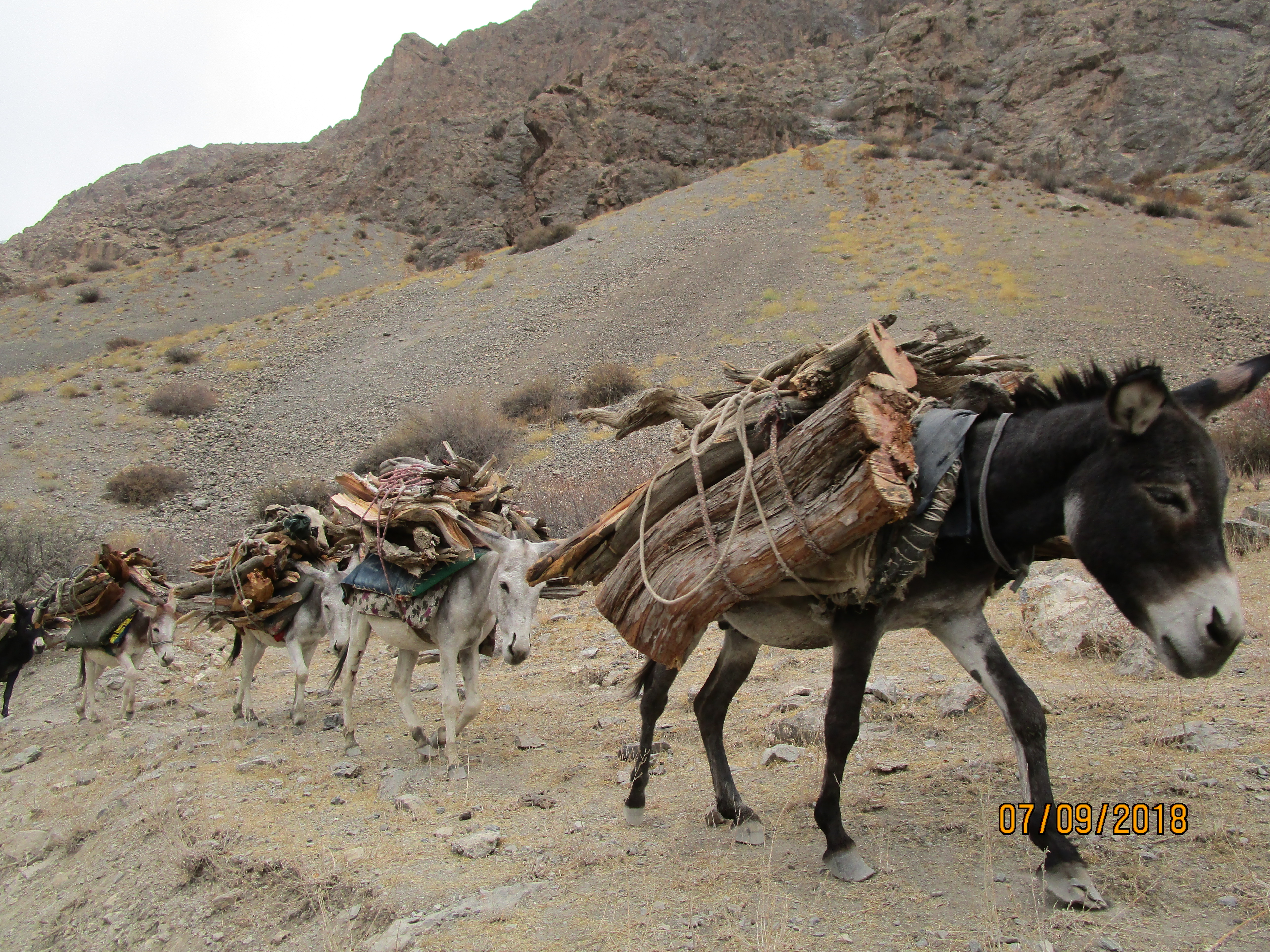 Tadjikistan- Paysages