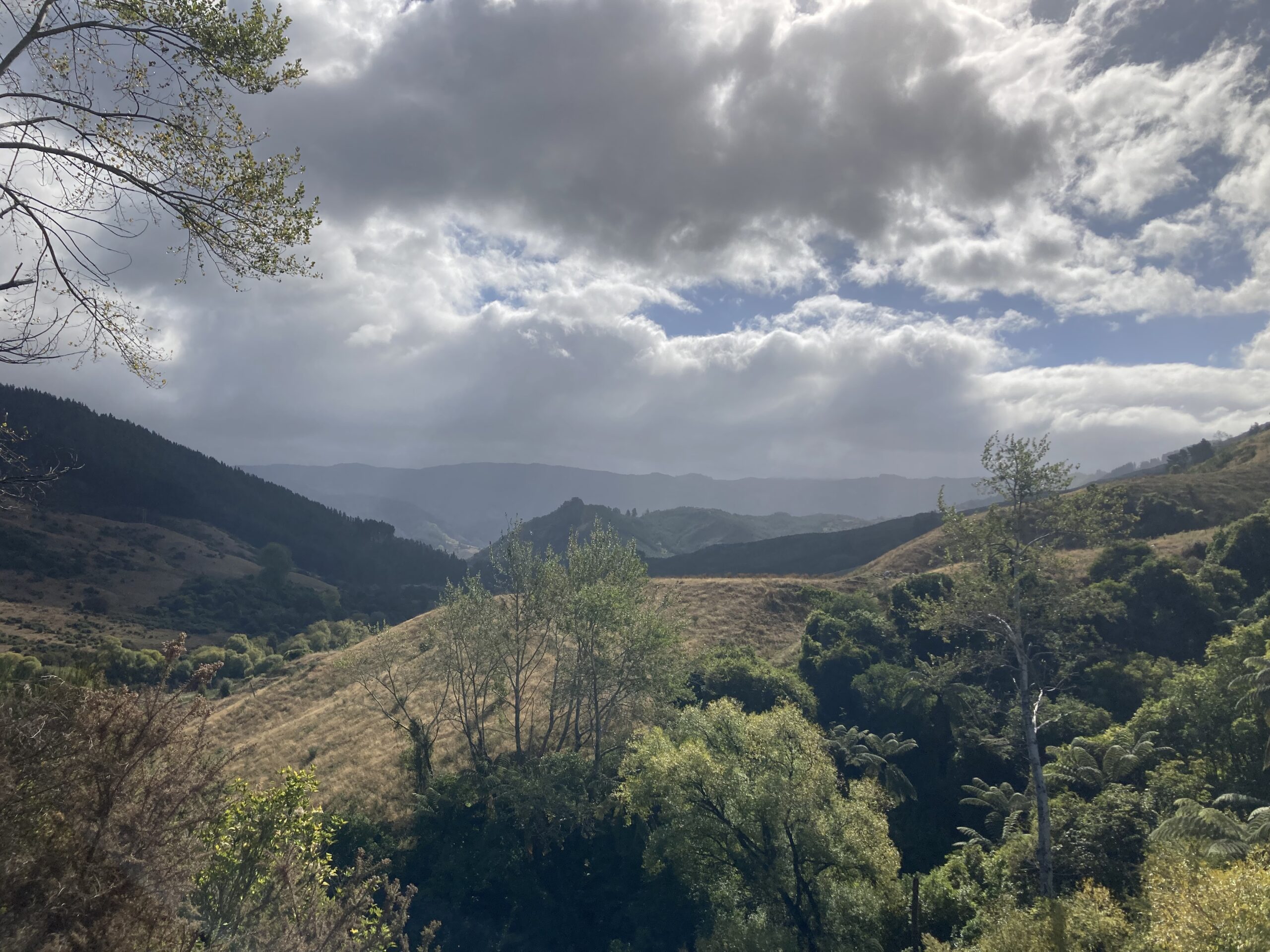 Nouvelle Zélande – Nord