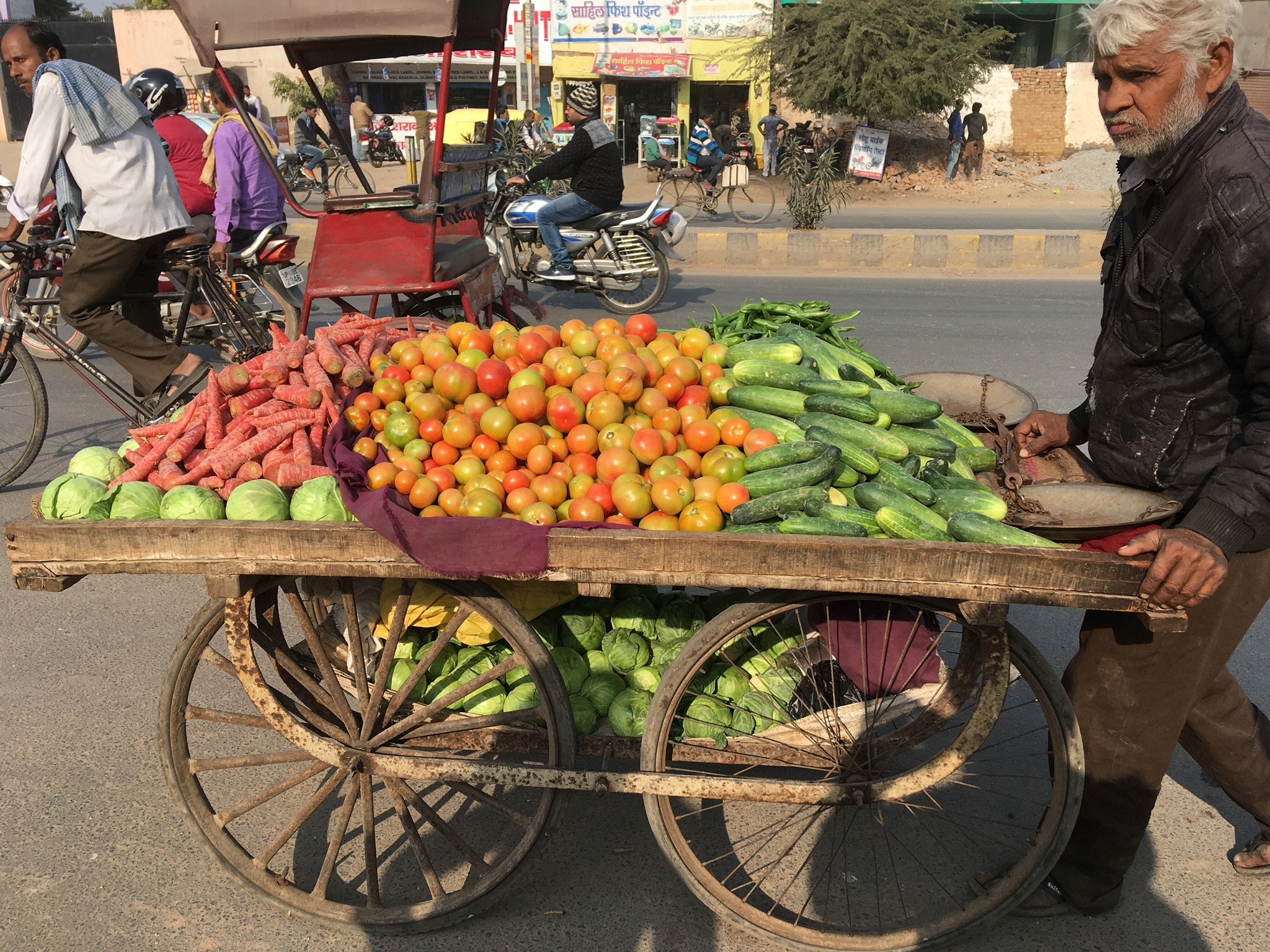 Rajasthan – Scènes de vies